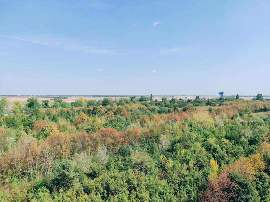 Airport Studio For Two, Free Parking, Airport View Bratislava Esterno foto